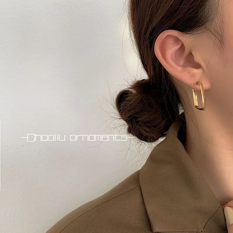 Geometric Square Earrings  New Trendy Alloy Earrings Women display picture 1