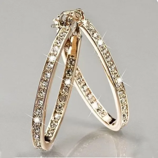 Simple Style Commute Geometric Big Metal Zircon Hoop Earrings display picture 5