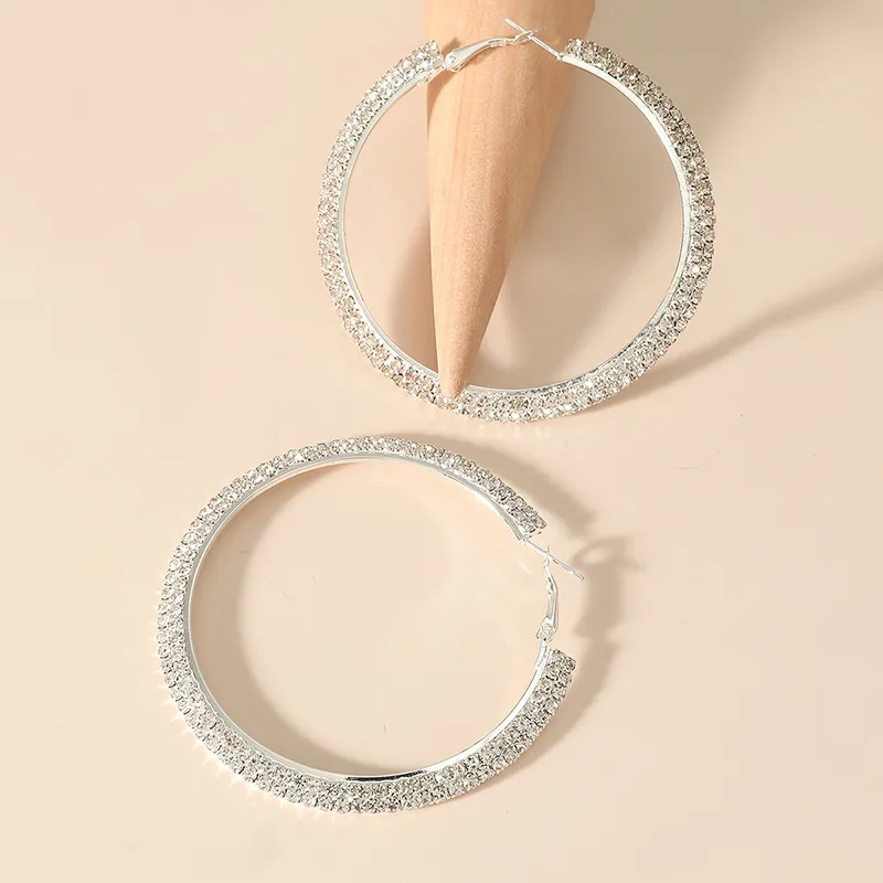 Fashion Claw Chain Welding Double Row Drill Alloy Hoop Earrings display picture 1