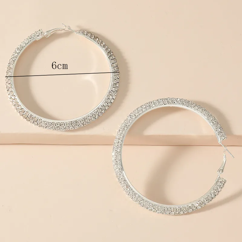 Fashion Claw Chain Welding Double Row Drill Alloy Hoop Earrings display picture 4