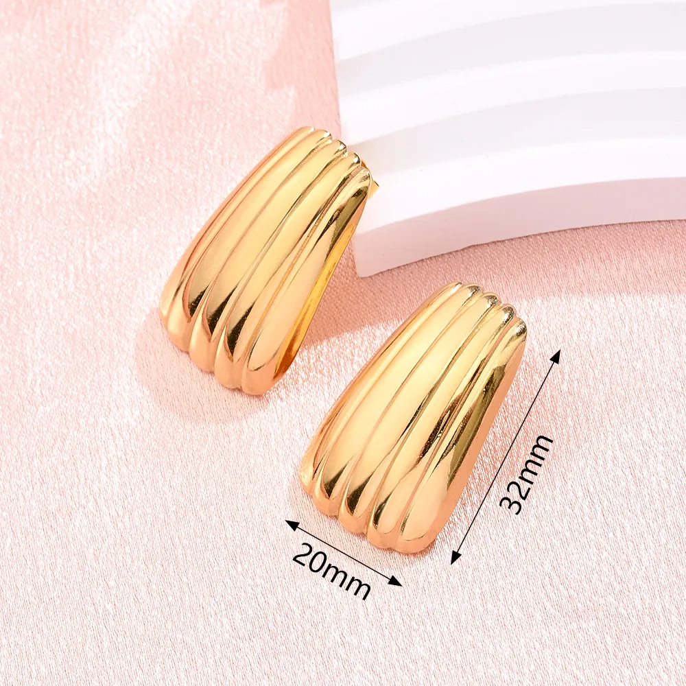 1 Pair/Package Modern Style Simple Style Irregular Simple Handmade 304 Stainless Steel Ear Studs display picture 6