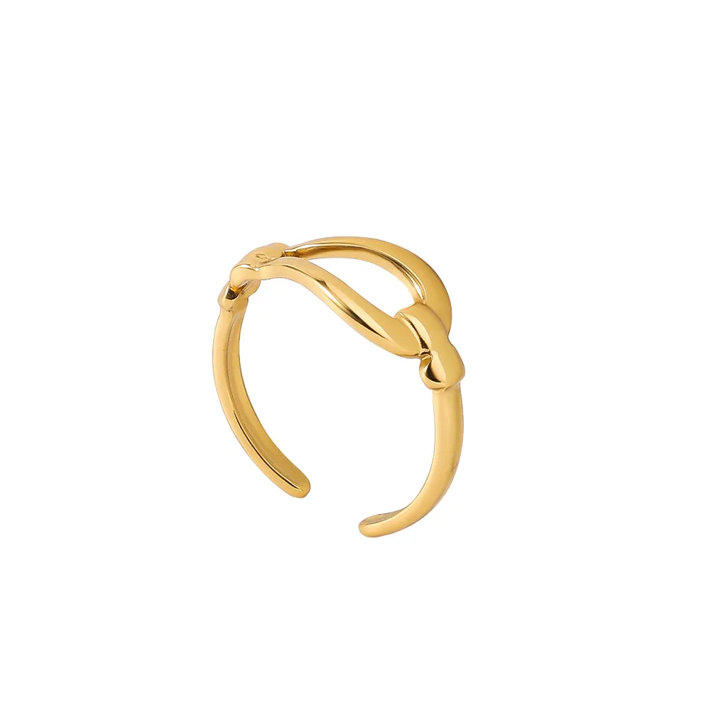 Wholesale Jewelry Elegant Luxurious Queen Geometric Titanium Steel Open Rings display picture 6