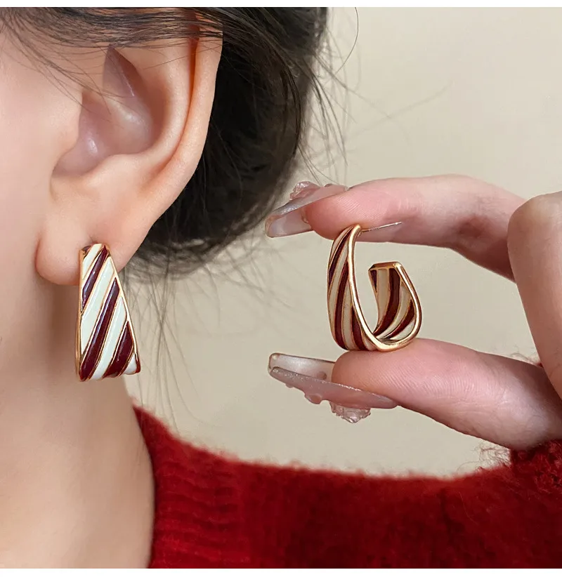 1 Pair Retro Geometric Enamel Alloy Earrings display picture 5