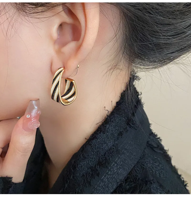1 Pair Retro Geometric Enamel Alloy Earrings display picture 7
