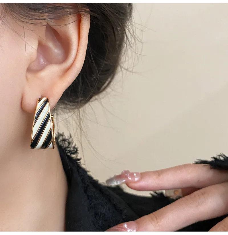 1 Pair Retro Geometric Enamel Alloy Earrings display picture 11