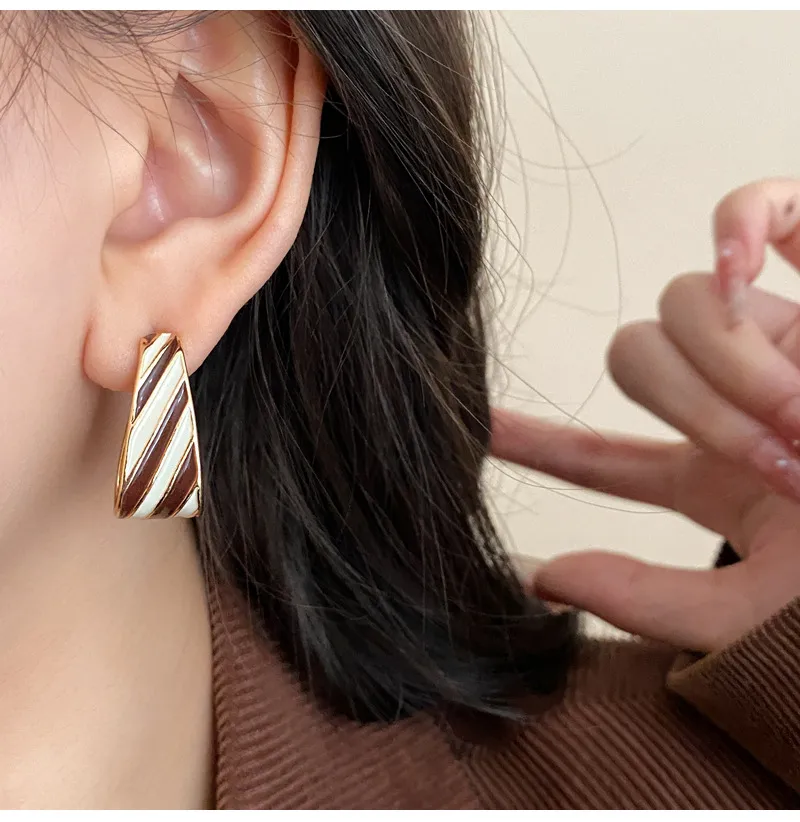 1 Pair Retro Geometric Enamel Alloy Earrings display picture 13