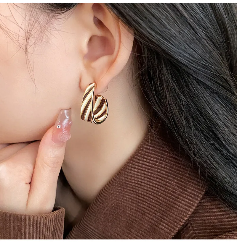 1 Pair Retro Geometric Enamel Alloy Earrings display picture 16