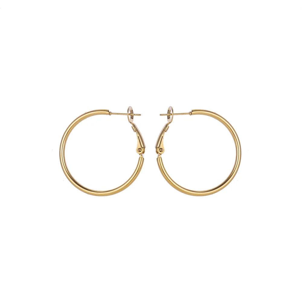 1 Pair Simple Style Geometric 304 Stainless Steel Ear Studs display picture 12