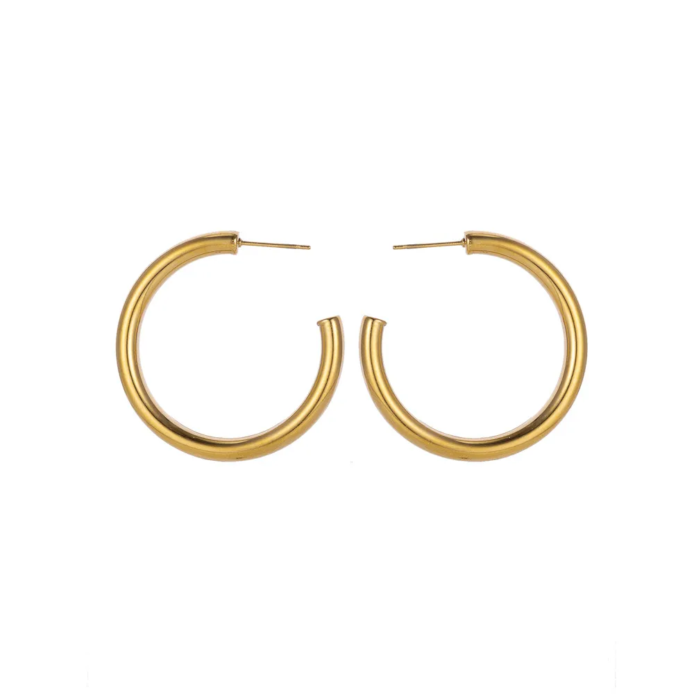 1 Pair Simple Style Geometric 304 Stainless Steel Ear Studs display picture 13