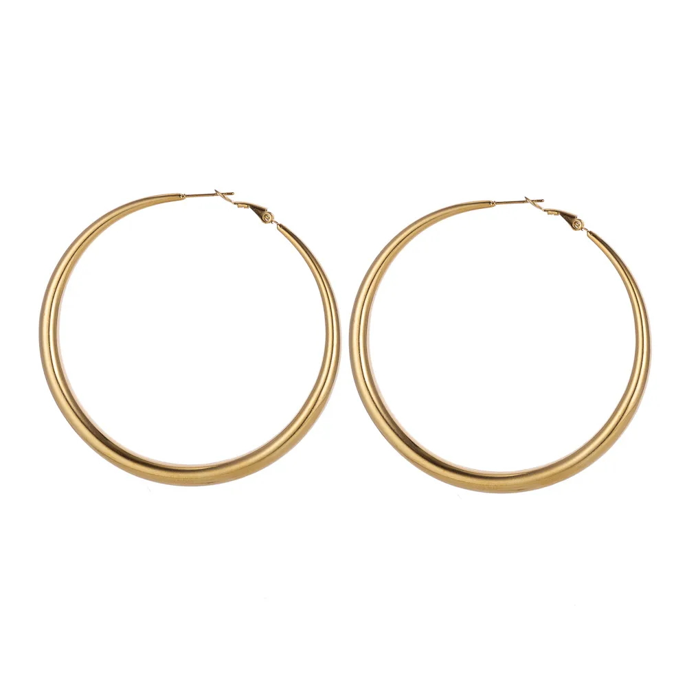 1 Pair Simple Style Geometric 304 Stainless Steel Ear Studs display picture 7
