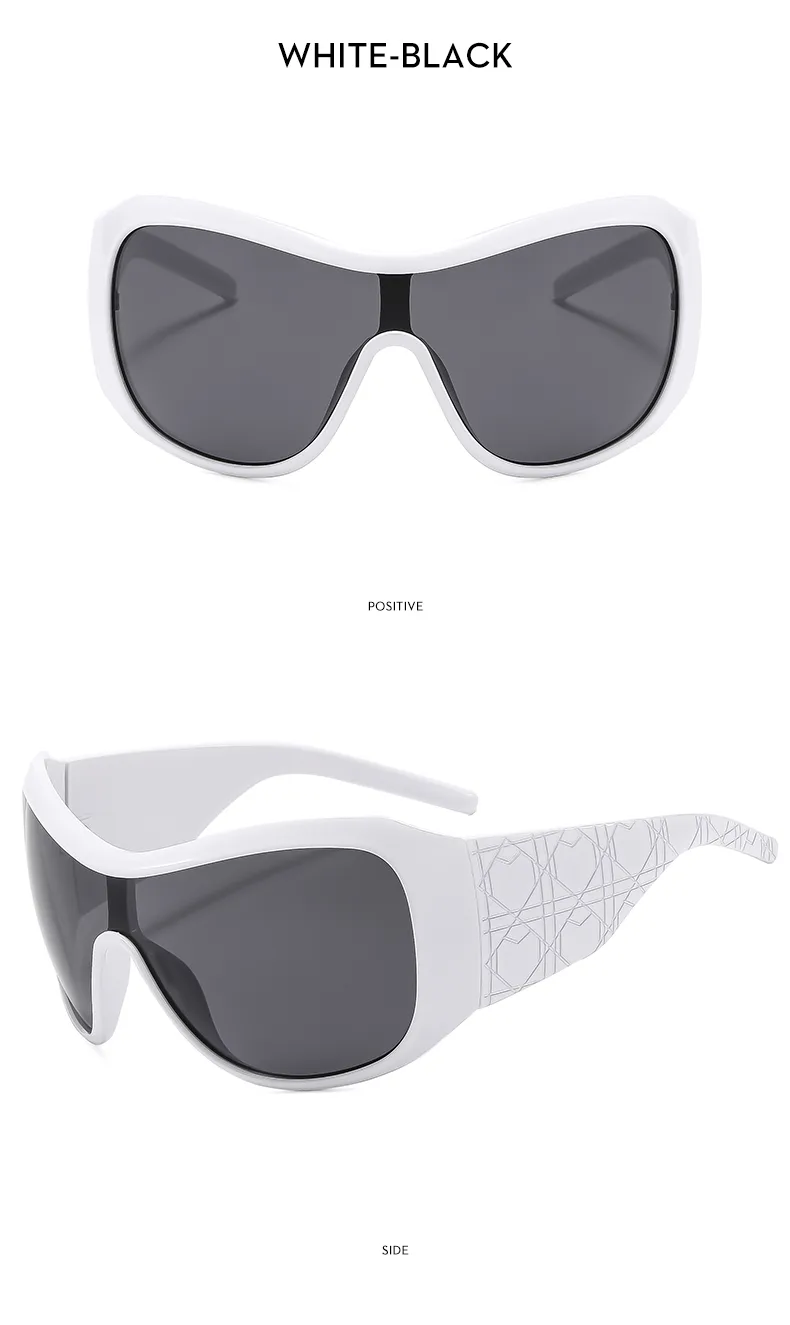 Simple Style Classic Style Solid Color Leopard Pc Square Full Frame Women's Sunglasses display picture 3