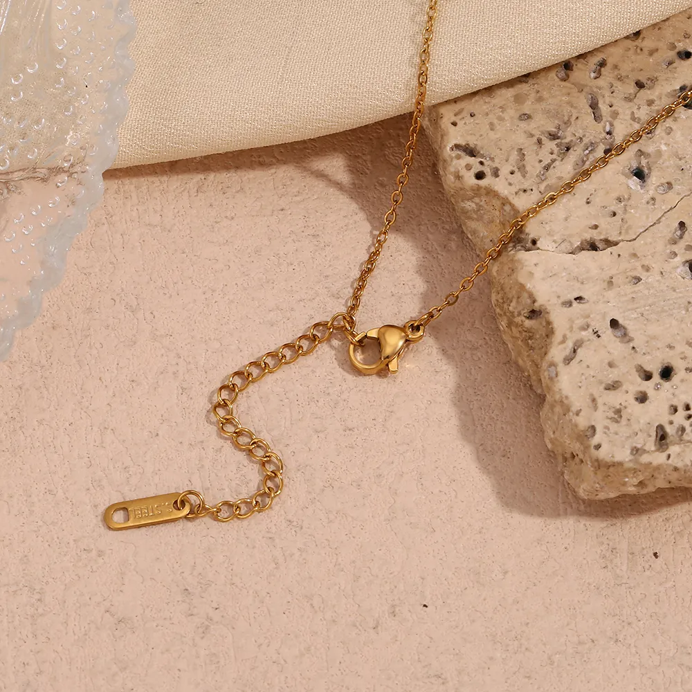 316L Stainless Steel  18K Gold Plated Basic Simple Style Classic Style Plating Round Pendant Necklace display picture 11