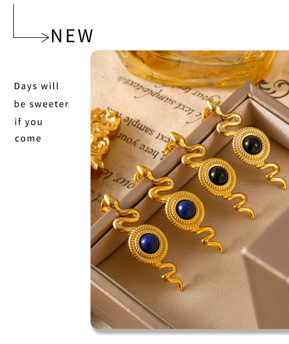 1 Pair Retro British Style Round Snake Plating Inlay 304 Stainless Steel Natural Stone Agate 18K Gold Plated Ear Studs display picture 3