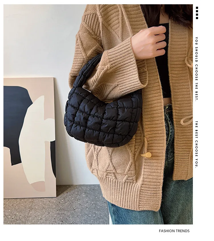 Autumn And Winter Mini Cloud Handbag Korean Style New Down Cotton-padded Underarm Bag Bubble Elastic  Handbag display picture 1