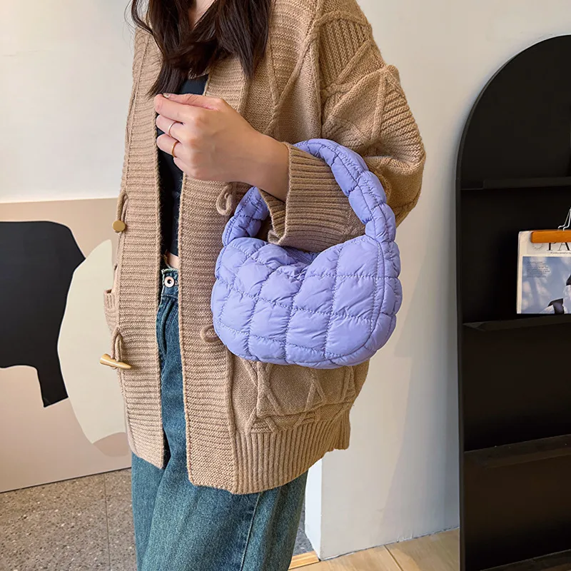 Autumn And Winter Mini Cloud Handbag Korean Style New Down Cotton-padded Underarm Bag Bubble Elastic  Handbag display picture 11
