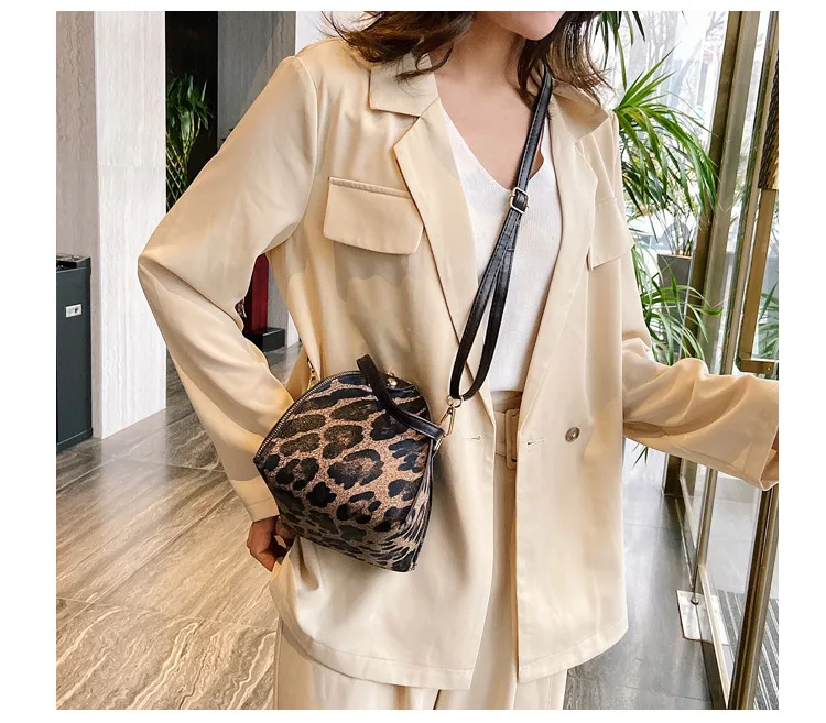 Fashion Leopard Triangle Bag  Korean Style New Arrival Portable Women's Bag Fashionable Women's Shoulder Crossbody Mini Bag display picture 14