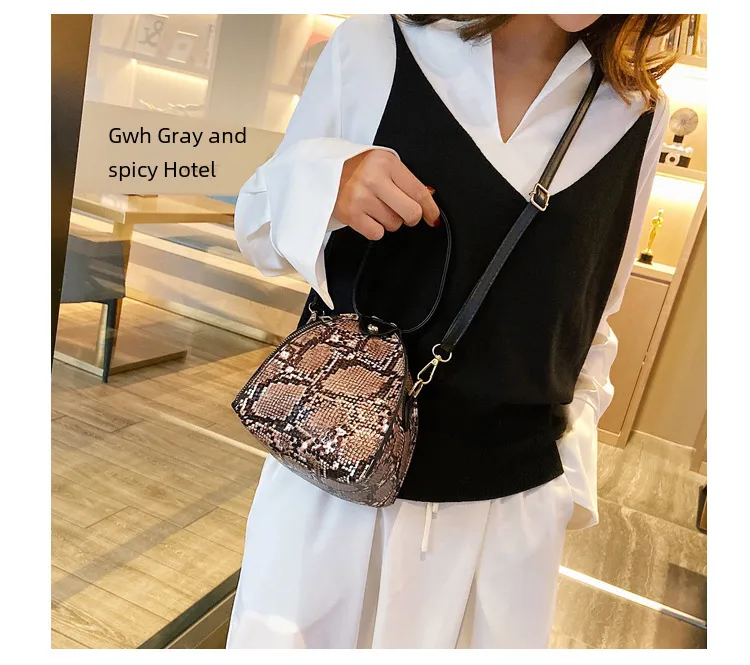 Fashion Leopard Triangle Bag  Korean Style New Arrival Portable Women's Bag Fashionable Women's Shoulder Crossbody Mini Bag display picture 15