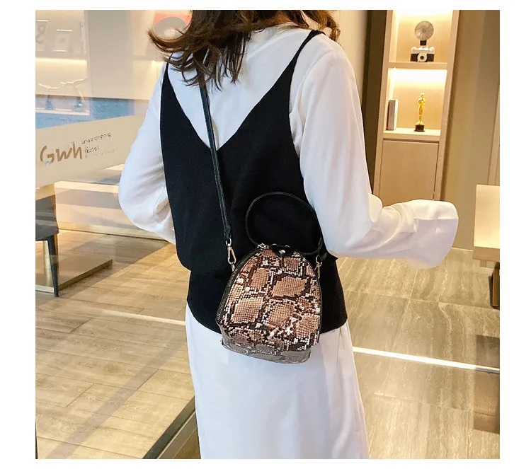 Fashion Leopard Triangle Bag  Korean Style New Arrival Portable Women's Bag Fashionable Women's Shoulder Crossbody Mini Bag display picture 16