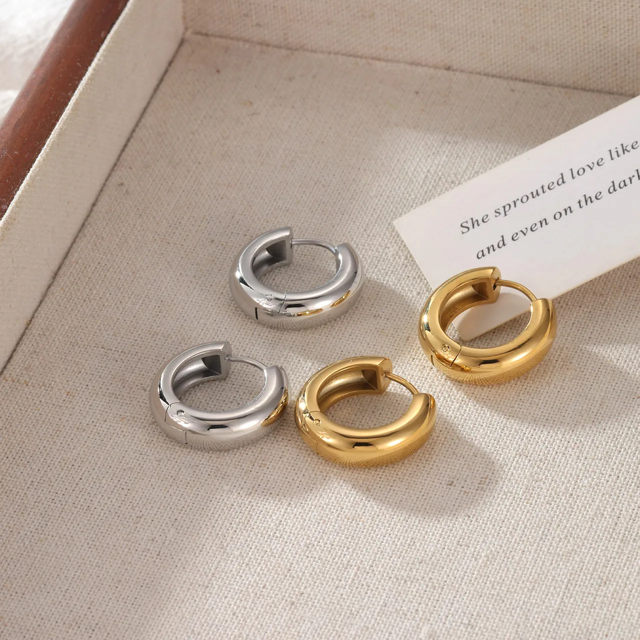1 Pair Cute Luxurious Simple Style Round 304 Stainless Steel 16K Gold Plated Earrings display picture 5