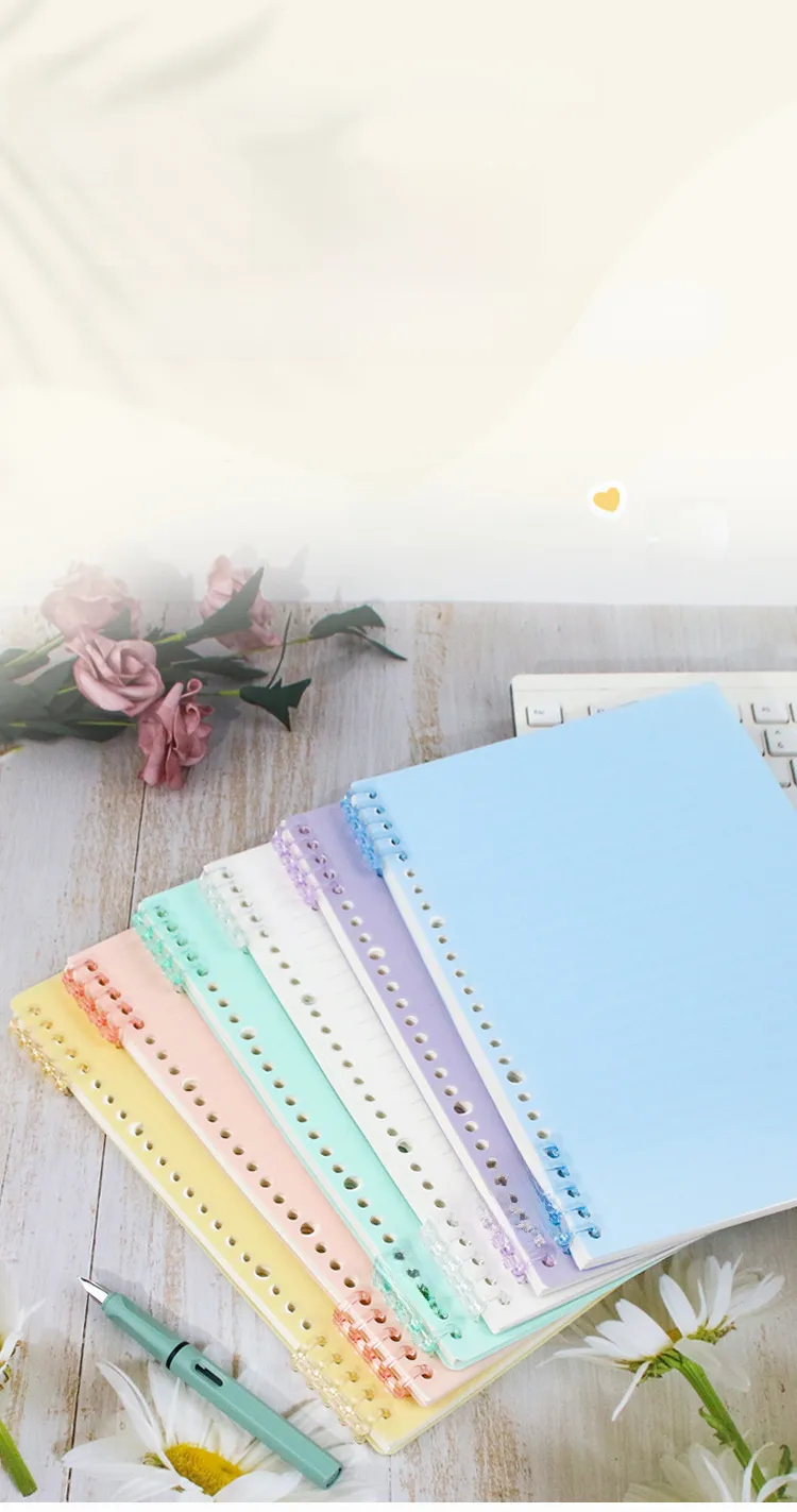 B5 Diy Self-made Plastic Cover Loose-leaf Notebook 26-hole A5 Frosted Pp Cover Office/cultural/notebook/notepad display picture 1