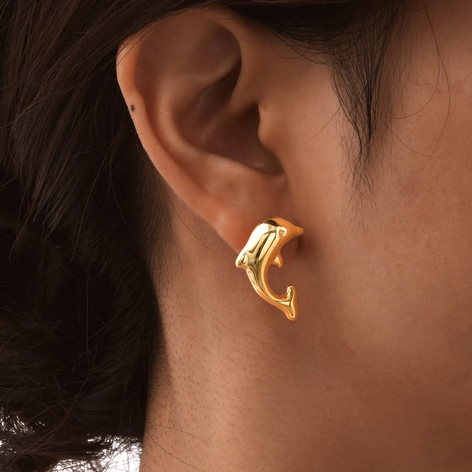 1 Pair Vintage Style Simple Style Dolphin 201 Stainless Steel Ear Studs display picture 6