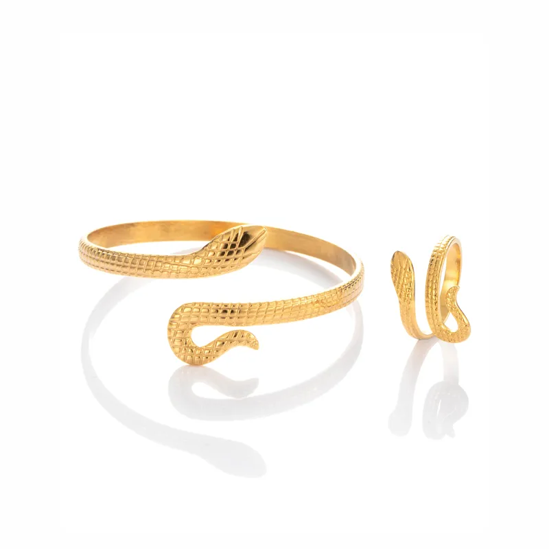 Vintage Style French Style Simple Style Snake 304 Stainless Steel Unisex Jewelry Set display picture 1