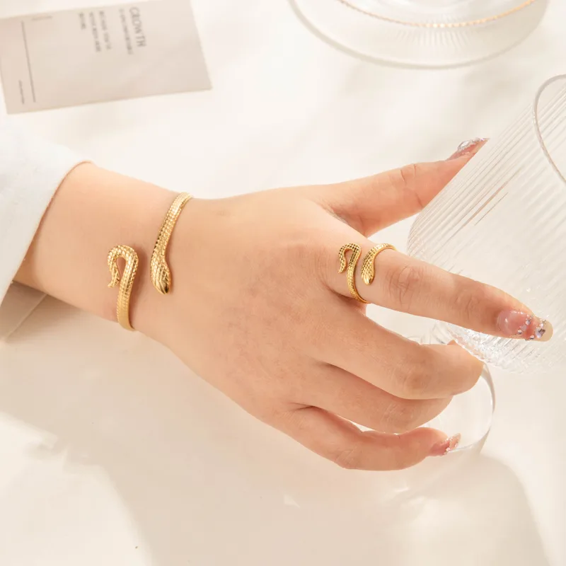 Vintage Style French Style Simple Style Snake 304 Stainless Steel Unisex Jewelry Set display picture 2