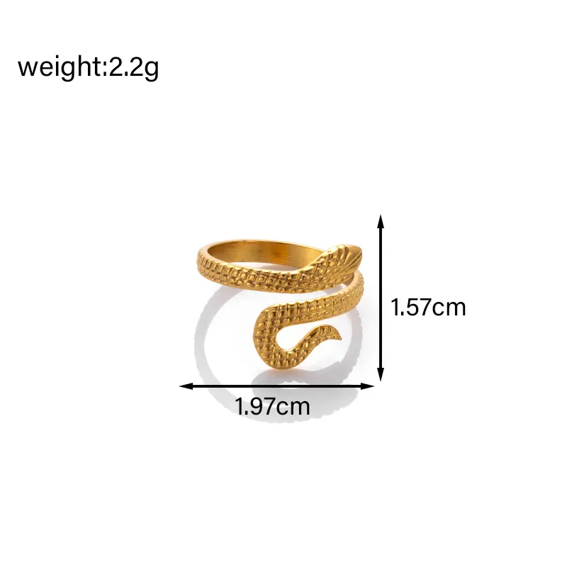 Vintage Style French Style Simple Style Snake 304 Stainless Steel Unisex Jewelry Set display picture 5
