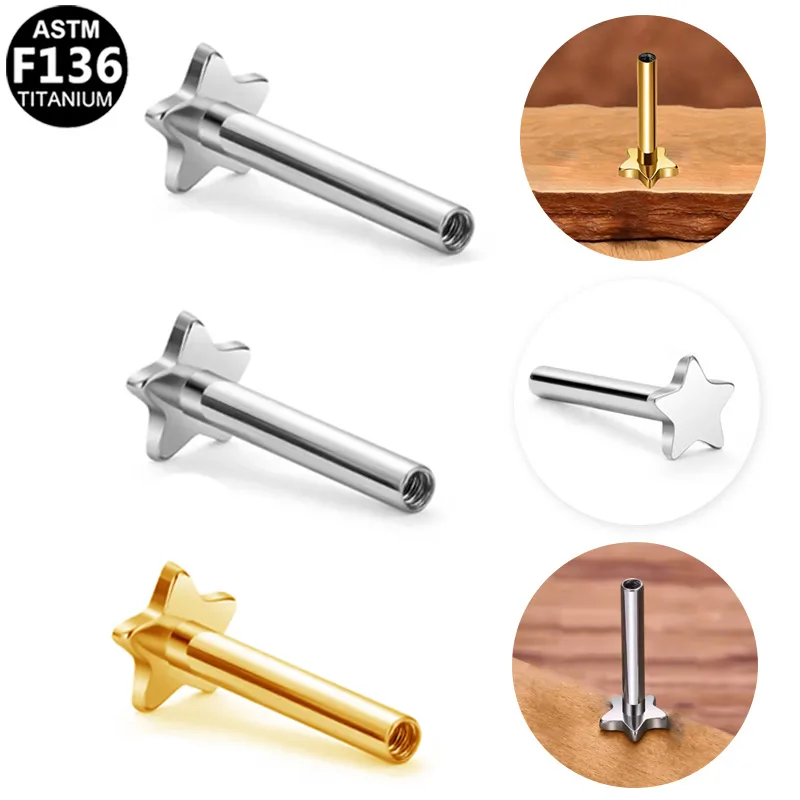 Simple Style Star Heart Shape Titanium Alloy Plating 14K Gold Plated White Gold Plated Unisex Lip Stud Ear Studs display picture 2