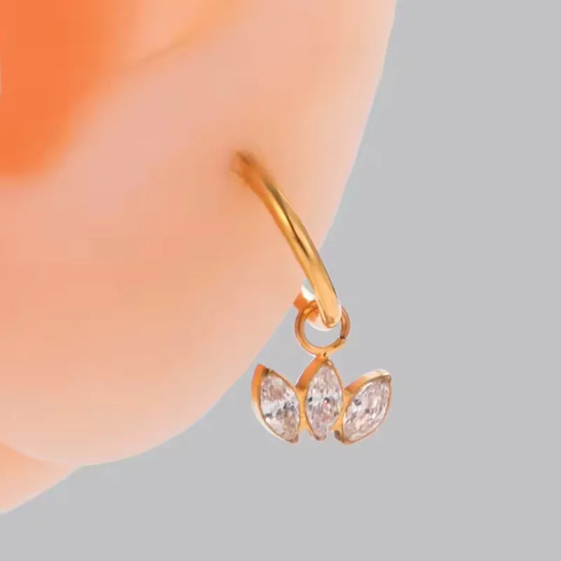 Casual Simple Style Classic Style Geometric Pure Titanium Titanium Alloy Plating Inlay Zircon 14K Gold Plated White Gold Plated Unisex Nose Ring display picture 1