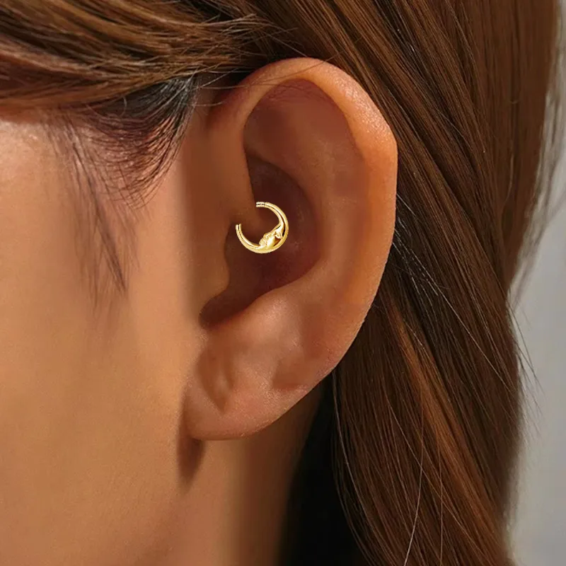 Casual Simple Style Classic Style Geometric Pure Titanium Titanium Alloy Plating Inlay Zircon 14K Gold Plated White Gold Plated Unisex Nose Ring display picture 6