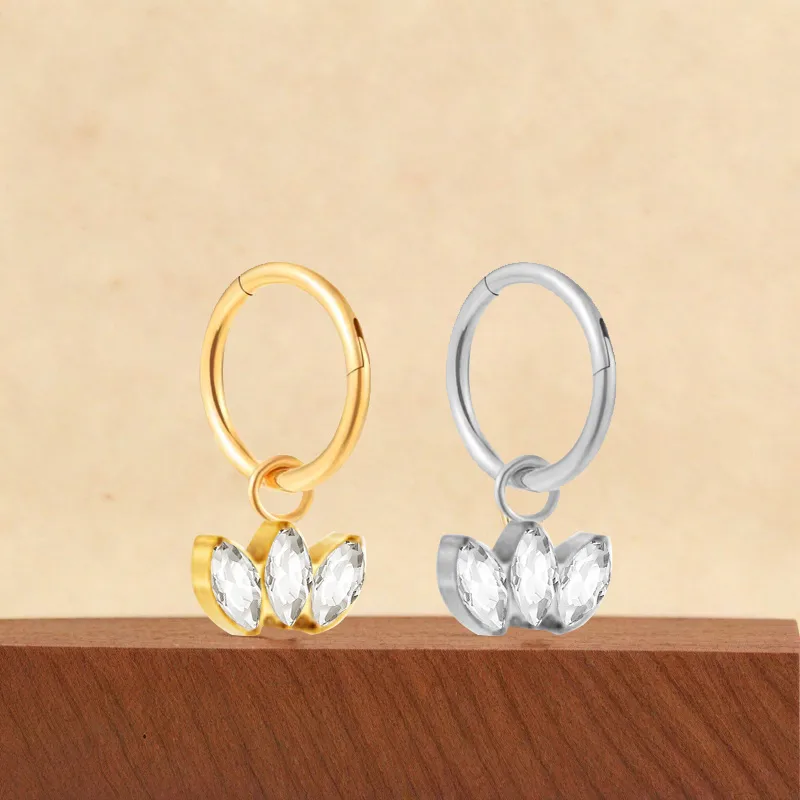 Casual Simple Style Classic Style Geometric Pure Titanium Titanium Alloy Plating Inlay Zircon 14K Gold Plated White Gold Plated Unisex Nose Ring display picture 3