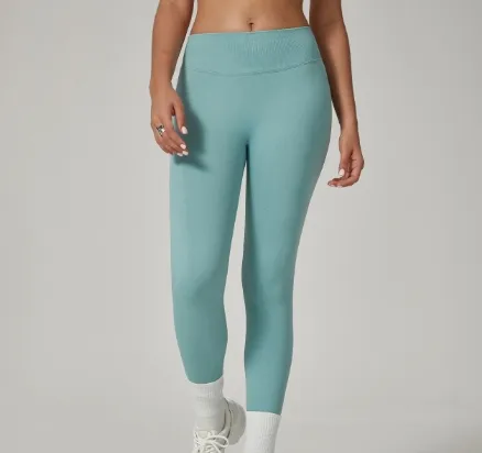 Casual Elegant Solid Color Chemical Fiber Blending Nylon Spandex Collarless Active Bottoms Leggings display picture 1