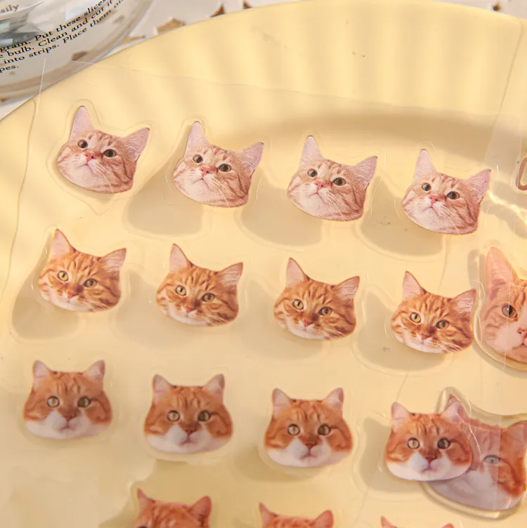 3 Sheets Per Pack Cat Learning School PVC Paper Cute Stickers display picture 2