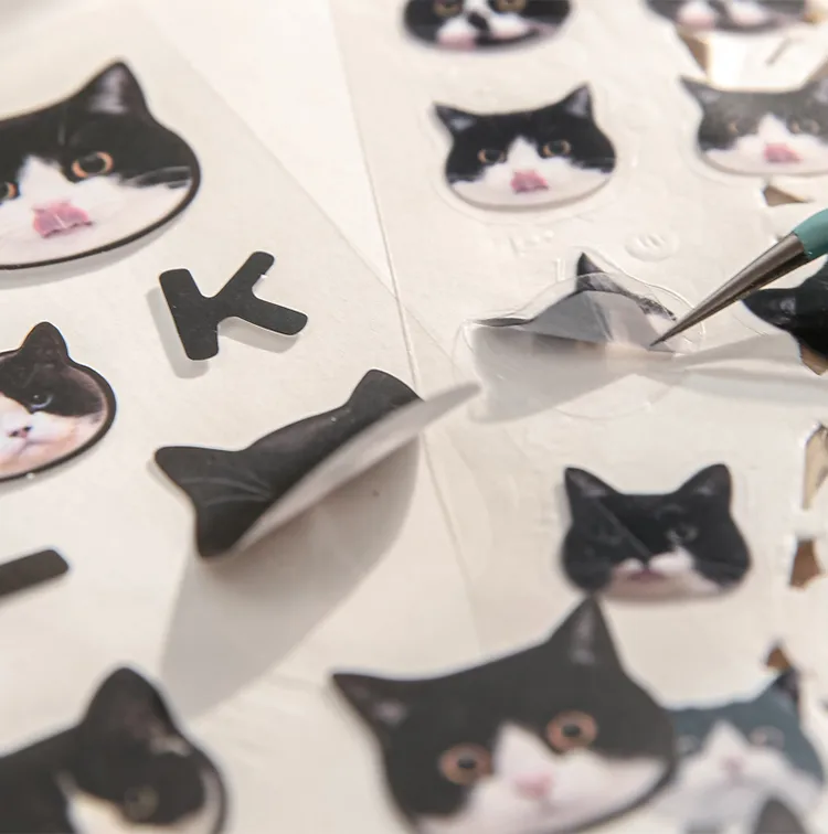 3 Sheets Per Pack Cat Learning School PVC Paper Cute Stickers display picture 4