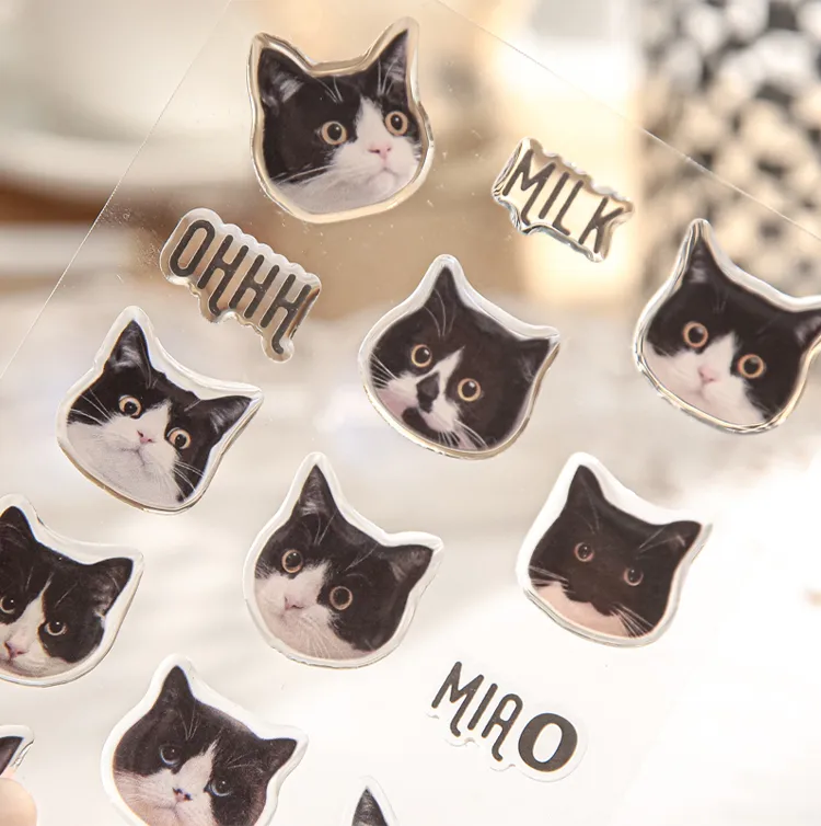 3 Sheets Per Pack Cat Learning School PVC Paper Cute Stickers display picture 5