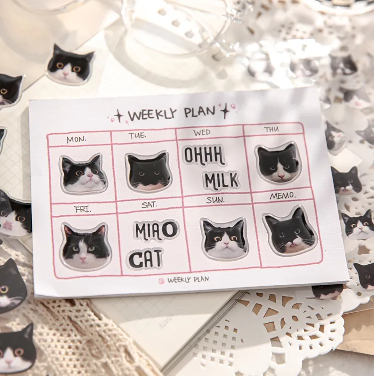3 Sheets Per Pack Cat Learning School PVC Paper Cute Stickers display picture 6