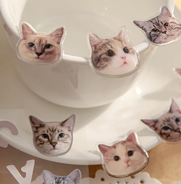 3 Sheets Per Pack Cat Learning School PVC Paper Cute Stickers display picture 7