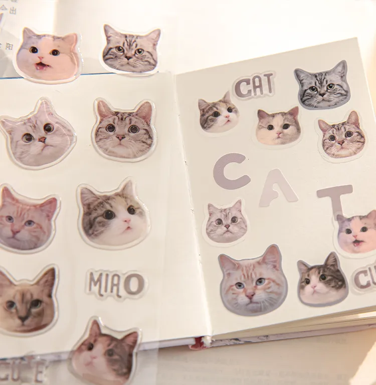 3 Sheets Per Pack Cat Learning School PVC Paper Cute Stickers display picture 8