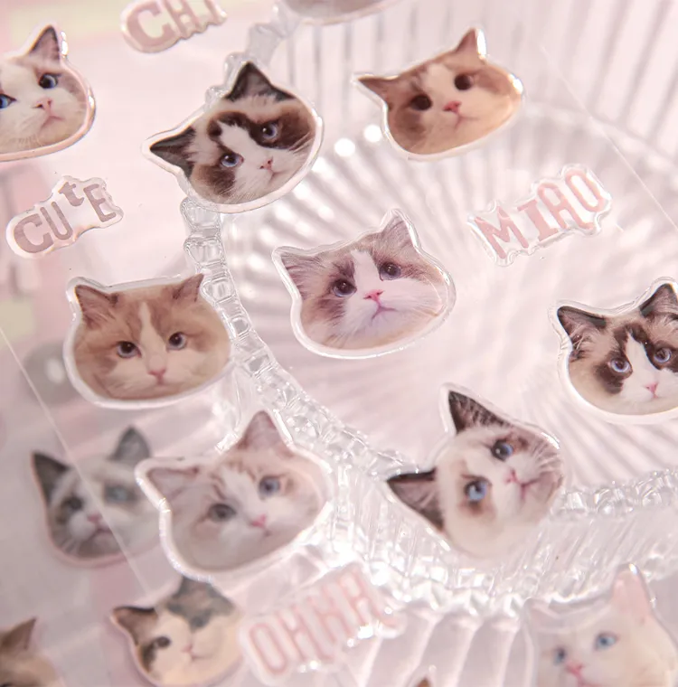 3 Sheets Per Pack Cat Learning School PVC Paper Cute Stickers display picture 9