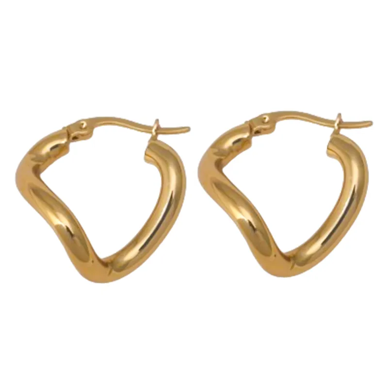 1 Pair Modern Style Classic Style Geometric Titanium Steel Earrings display picture 8
