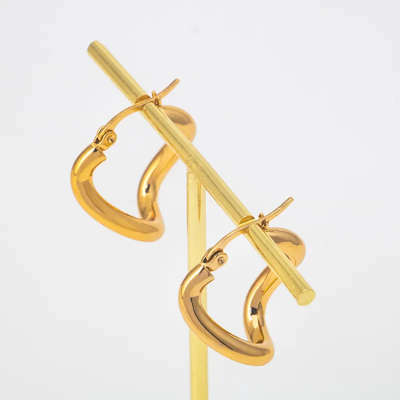 1 Pair Modern Style Classic Style Geometric Titanium Steel Earrings display picture 4