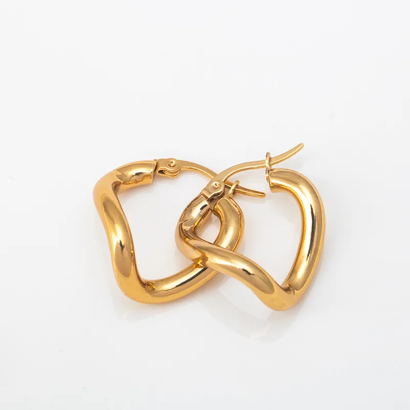 1 Pair Modern Style Classic Style Geometric Titanium Steel Earrings display picture 3