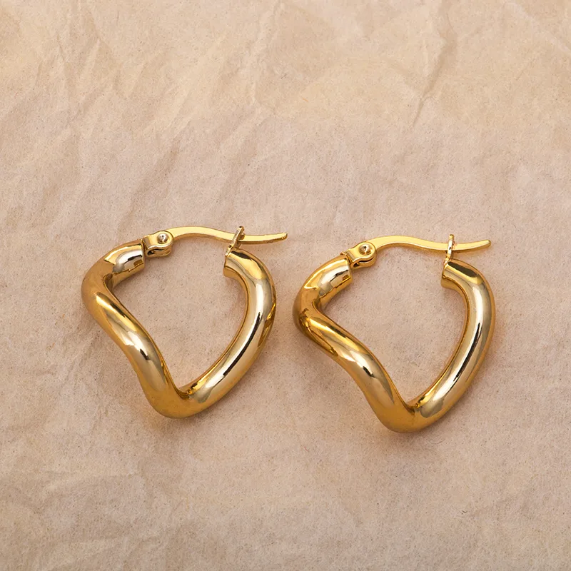 1 Pair Modern Style Classic Style Geometric Titanium Steel Earrings display picture 5