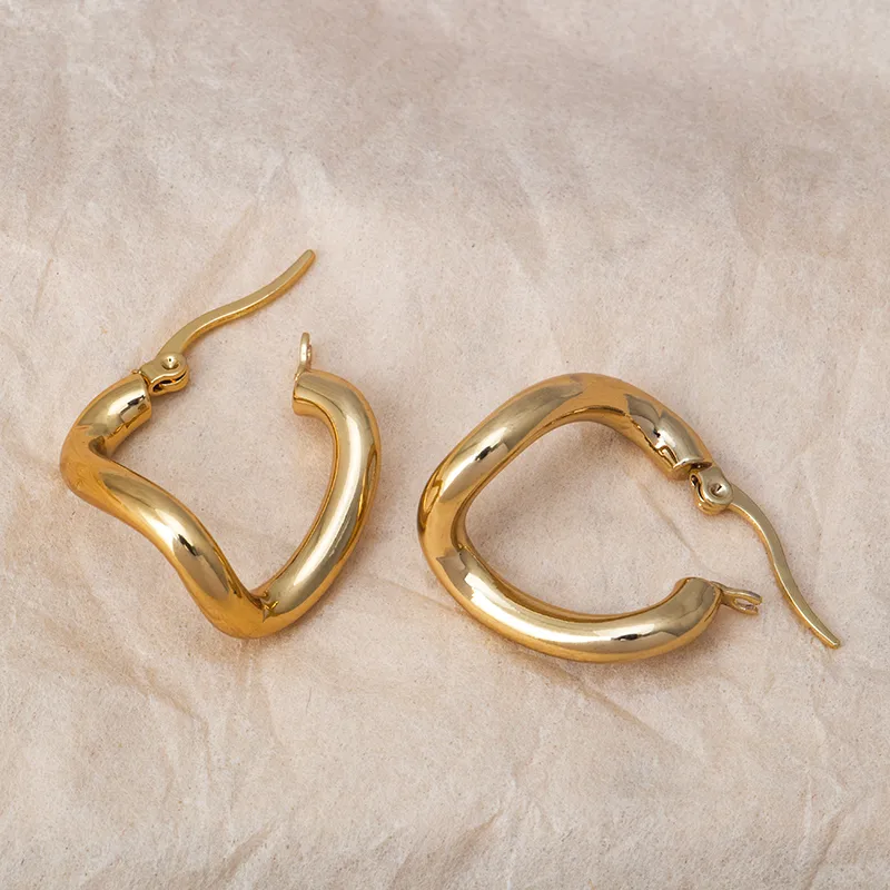 1 Pair Modern Style Classic Style Geometric Titanium Steel Earrings display picture 7