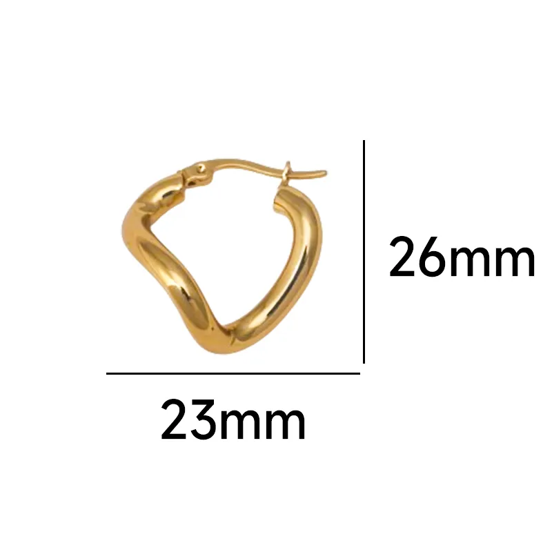 1 Pair Modern Style Classic Style Geometric Titanium Steel Earrings display picture 1