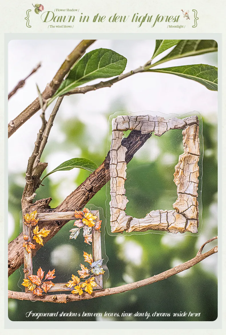 Plant School Graduation PET Vintage Style Handmade Stickers display picture 1