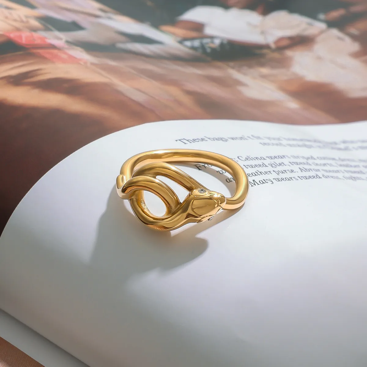 Basic Classic Style Commute Snake 316 Stainless Steel  Women's Rings display picture 7