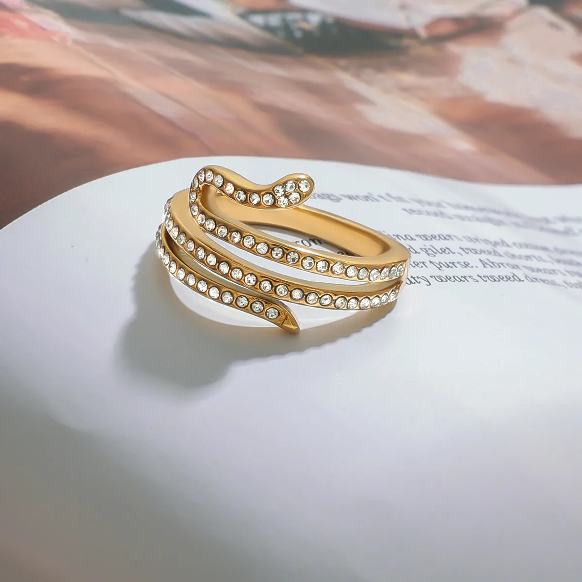 Basic Classic Style Commute Snake 316 Stainless Steel  Women's Rings display picture 13