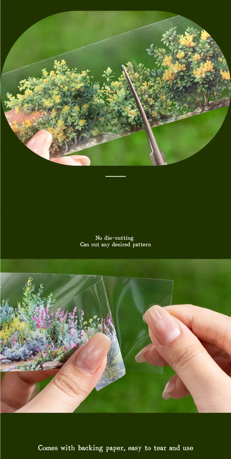Plant Learning PET Retro Adhesive Tape display picture 5